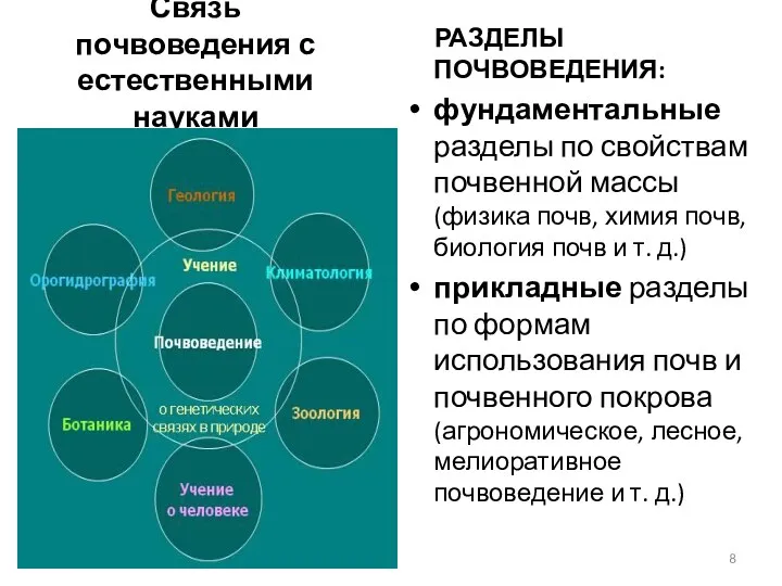 Связь почвоведения с естественными науками РАЗДЕЛЫ ПОЧВОВЕДЕНИЯ: фундаментальные разделы по