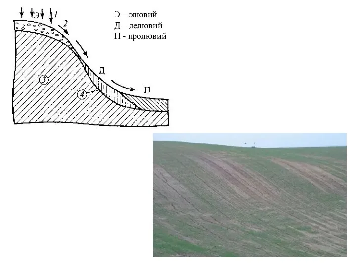 Э – элювий Д – делювий П - пролювий