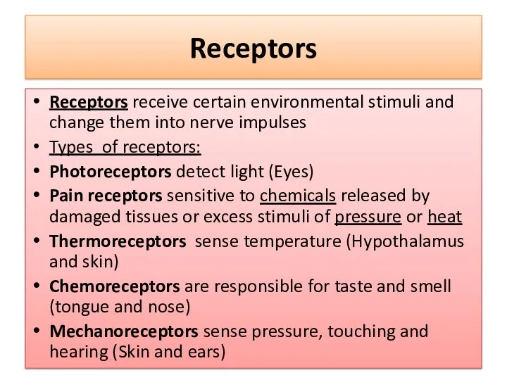Receptors Receptors receive certain environmental stimuli and change them into nerve impulses Types