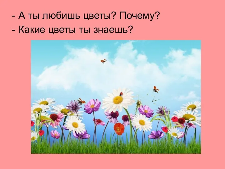 А ты любишь цветы? Почему? Какие цветы ты знаешь?
