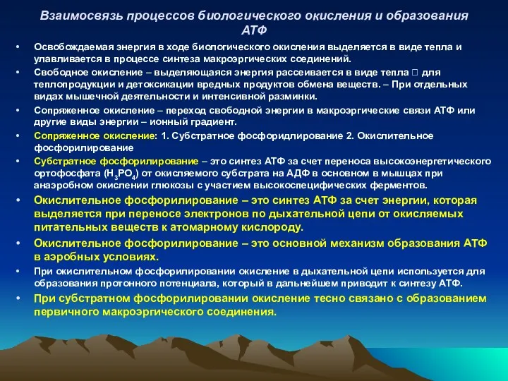 Взаимосвязь процессов биологического окисления и образования АТФ Освобождаемая энергия в