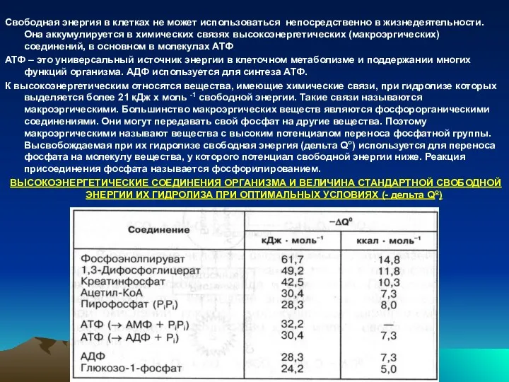 Свободная энергия в клетках не может использоваться непосредственно в жизнедеятельности.