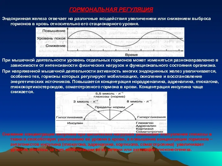 ГОРМОНАЛЬНАЯ РЕГУЛЯЦИЯ Эндокринная железа отвечает на различные воздействия увеличением или