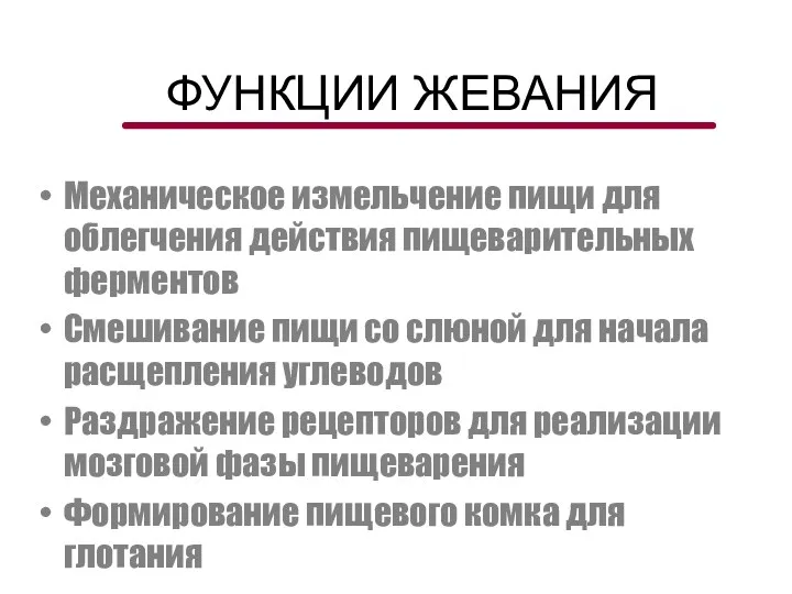 ФУНКЦИИ ЖЕВАНИЯ Механическое измельчение пищи для облегчения действия пищеварительных ферментов Смешивание пищи со