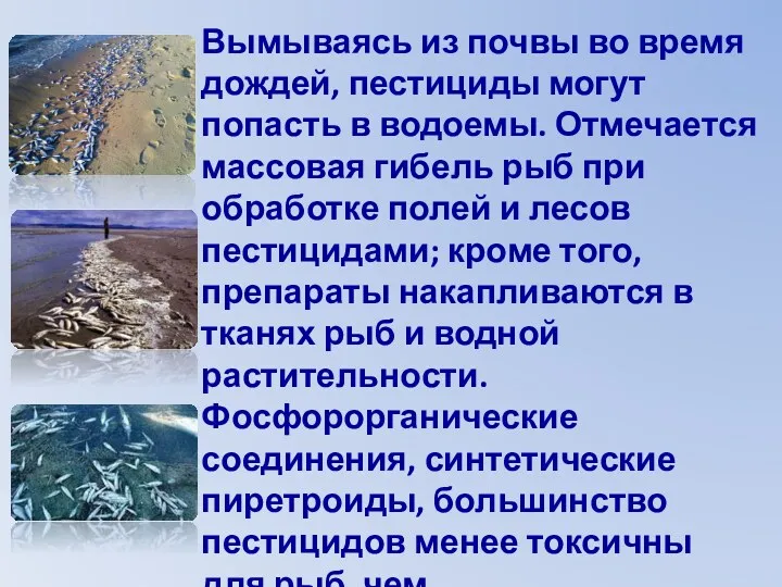 Вымываясь из почвы во время дождей, пестициды могут попасть в