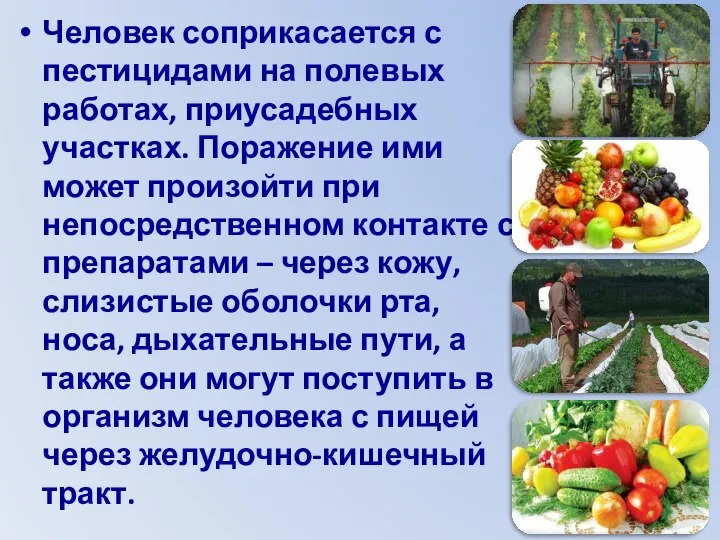 Человек соприкасается с пестицидами на полевых работах, приусадебных участках. Поражение