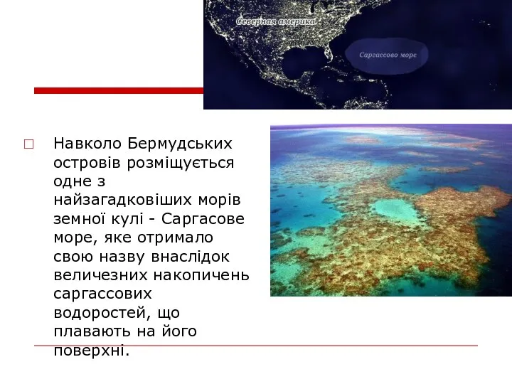 Навколо Бермудських островів розміщується одне з найзагадковіших морів земної кулі