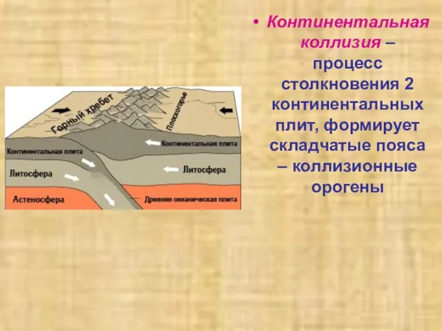 Континентальная коллизия – процесс столкновения 2 континентальных плит, формирует складчатые пояса – коллизионные орогены