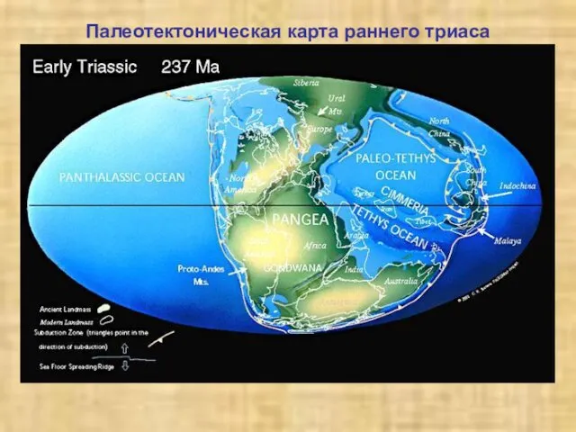 Палеотектоническая карта раннего триаса