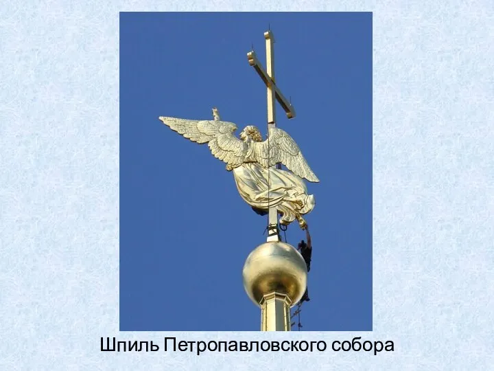 Шпиль Петропавловского собора