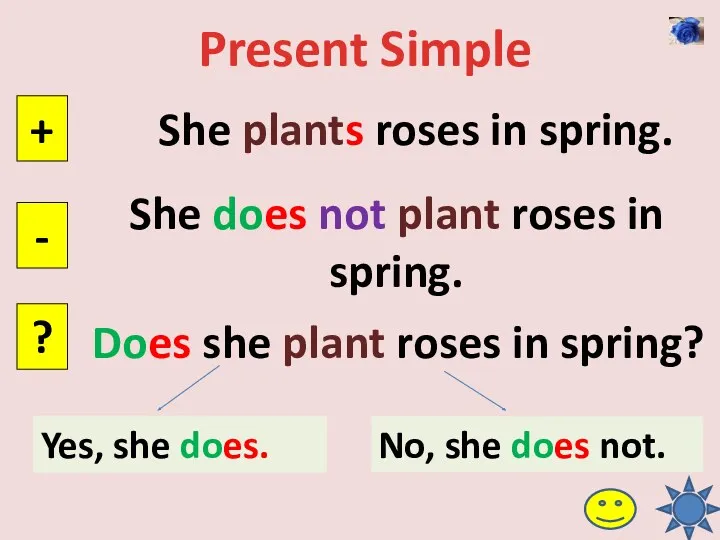 Present Simple She plants roses in spring. + - ? She does not