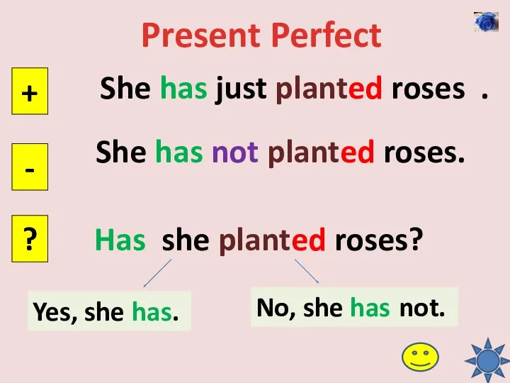 Present Perfect She has just planted roses . + -