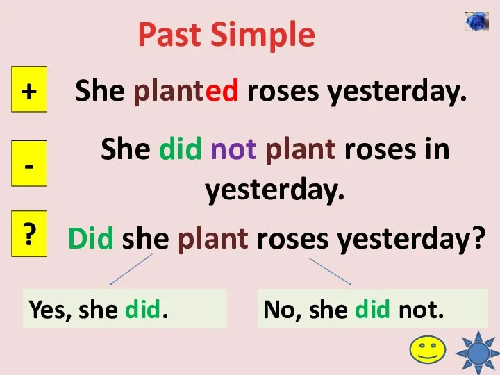 Past Simple She planted roses yesterday. + - ? She