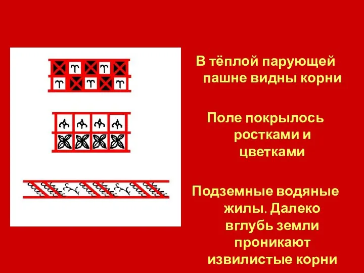 В тёплой парующей пашне видны корни Поле покрылось ростками и