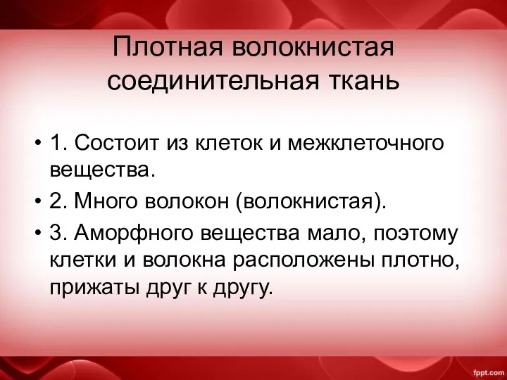 Плотная волокнистая соединительная ткань 1. Состоит из клеток и межклеточного