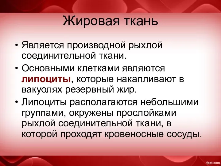 Жировая ткань Является производной рыхлой соединительной ткани. Основными клетками являются