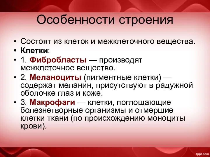 Особенности строения Состоят из клеток и межклеточного вещества. Клетки: 1.