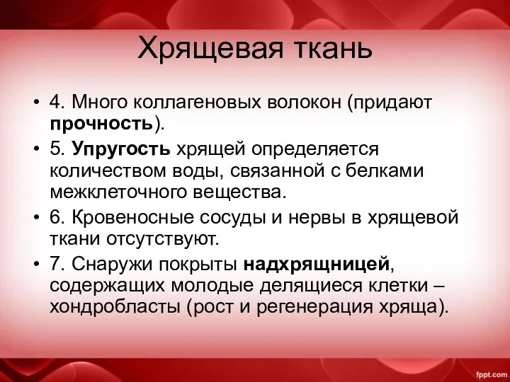 Хрящевая ткань 4. Много коллагеновых волокон (придают прочность). 5. Упругость