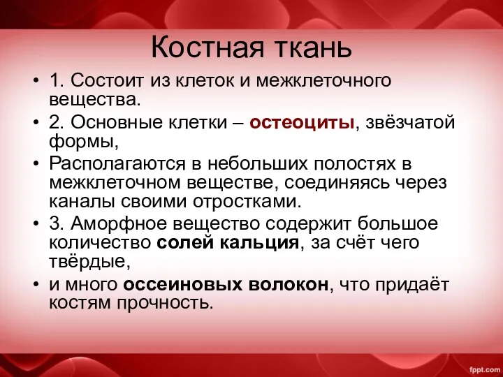 Костная ткань 1. Состоит из клеток и межклеточного вещества. 2.