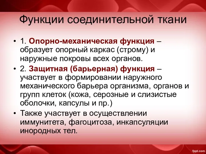 Функции соединительной ткани 1. Опорно-механическая функция – образует опорный каркас