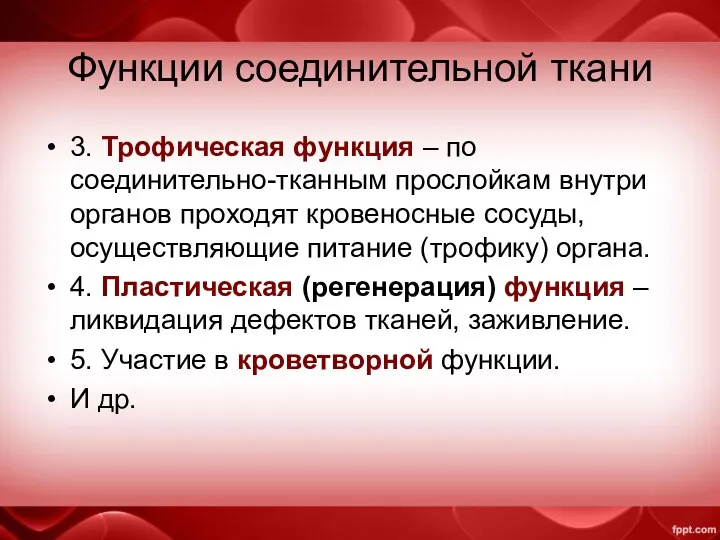 Функции соединительной ткани 3. Трофическая функция – по соединительно-тканным прослойкам