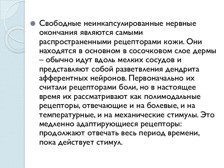 Свободные неинкапсулированные нервные окончания являются самыми распространенными рецепторами кожи. Они