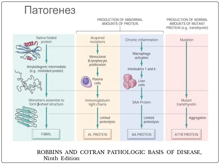 Патогенез ROBBINS AND COTRAN PATHOLOGIC BASIS OF DISEASE, Ninth Edition