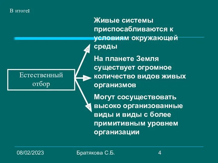 08/02/2023 Братякова С.Б. Естественный отбор В итоге: Живые системы приспосабливаются