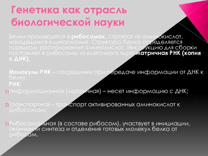 Генетика как отрасль биологической науки Белки производятся в рибосомах, строятся из аминокислот, находящихся