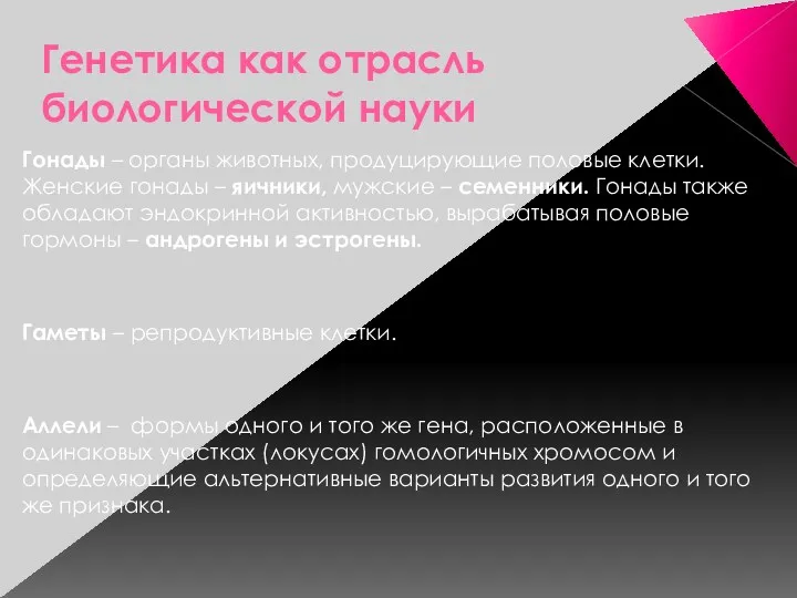 Генетика как отрасль биологической науки Гонады – органы животных, продуцирующие половые клетки. Женские