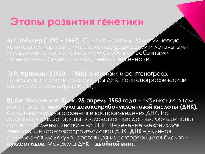 Этапы развития генетики 6) Г. Мёллер (1890 – 1967). Опыты с мухами. Заметил