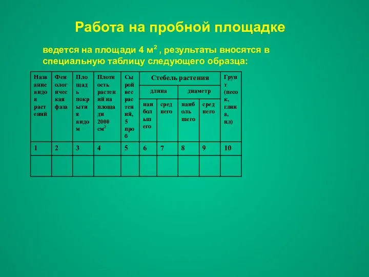 Работа на пробной площадке ведется на площади 4 м2 ,