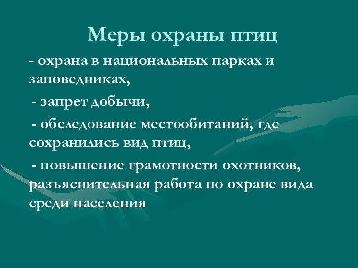 Меры охраны птиц - охрана в национальных парках и заповедниках,