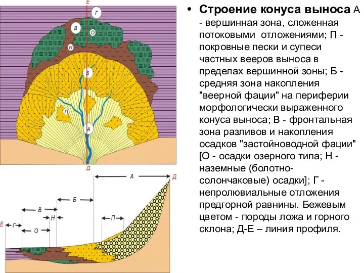 Строение конуса выноса А - вершинная зона, сложенная потоковыми отложениями;