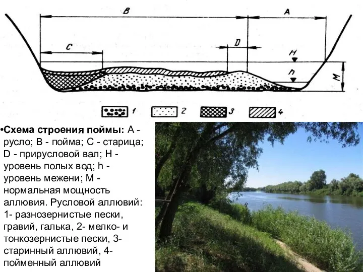 Схема строения поймы: А - русло; В - пойма; С