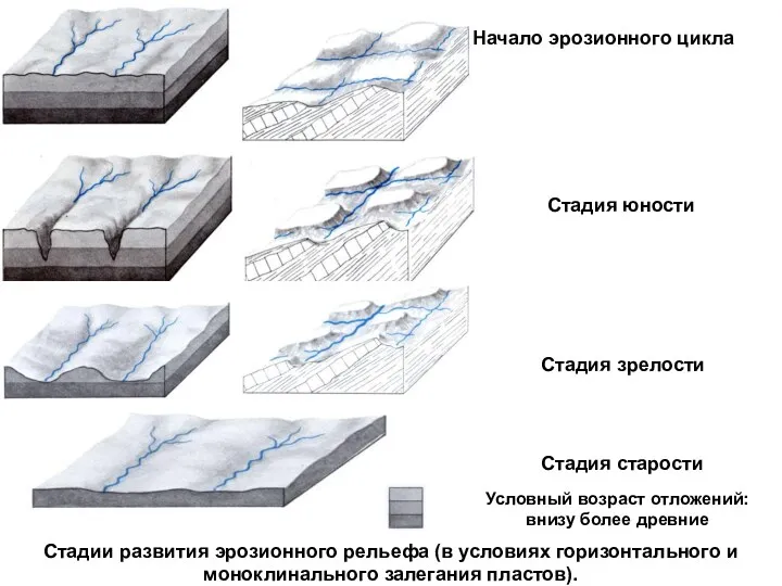 Начало эрозионного цикла Стадия юности Стадия зрелости Стадия старости Условный