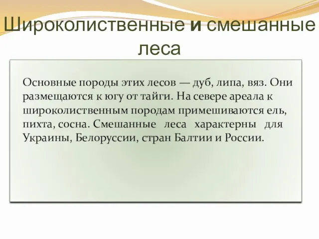 Широколиственные и смешанные леса Основные породы этих лесов — дуб,