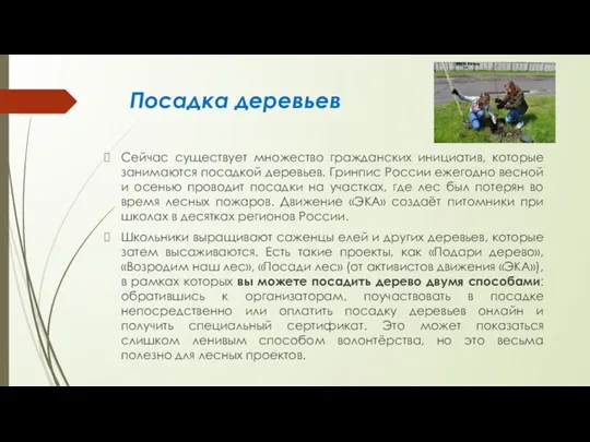 Посадка деревьев Сейчас существует множество гражданских инициатив, которые занимаются посадкой