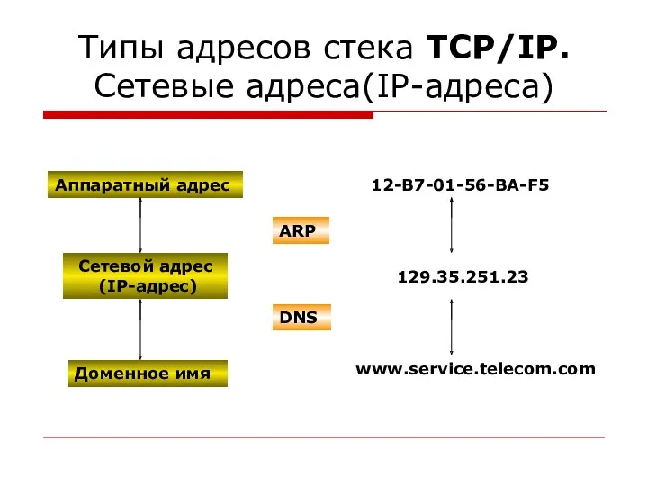 Типы адресов стека TCP/IP. Сетевые адреса(IP-адреса) 12-B7-01-56-BA-F5 129.35.251.23 www.service.telecom.com ARP