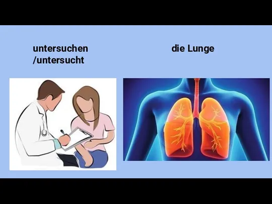 untersuchen /untersucht die Lunge