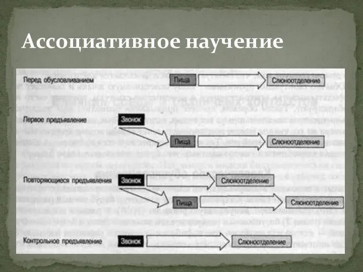 Ассоциативное научение