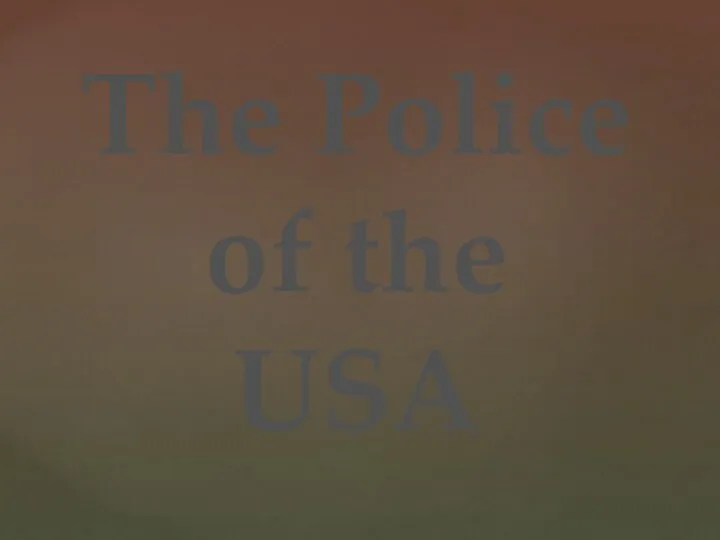 The Police of the USA