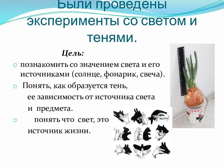 Были проведены эксперименты со светом и тенями. Цель: познакомить со