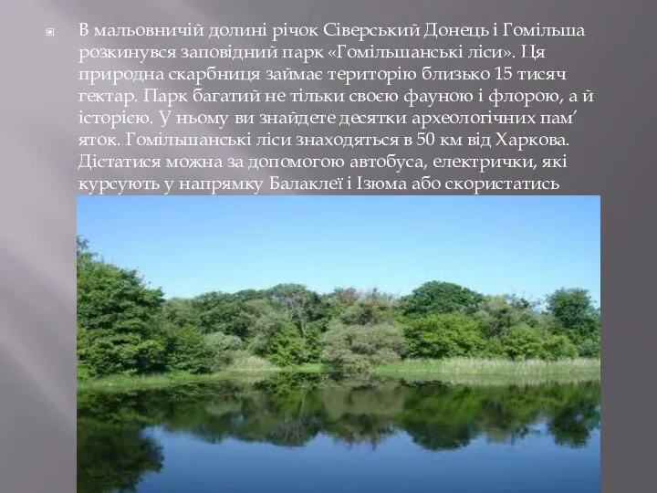 В мальовничій долині річок Сіверський Донець і Гомільша розкинувся заповідний парк «Гомільшанські ліси».
