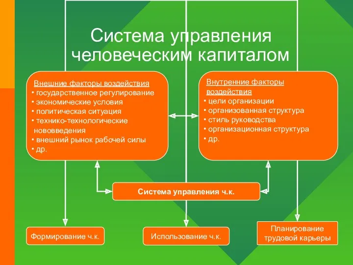 Система управления человеческим капиталом