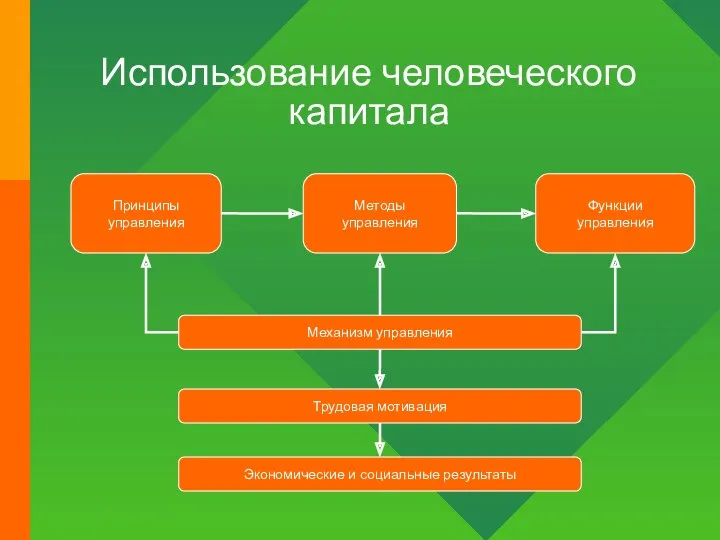 Использование человеческого капитала