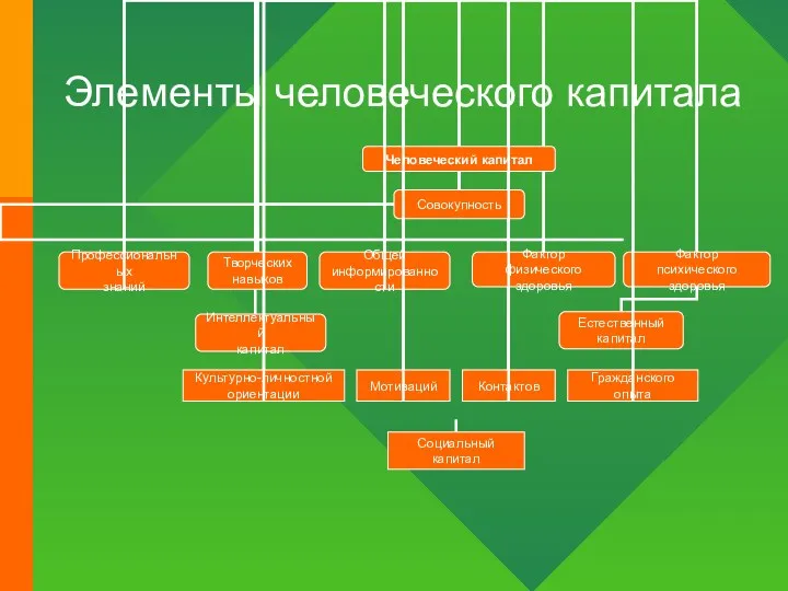 Элементы человеческого капитала