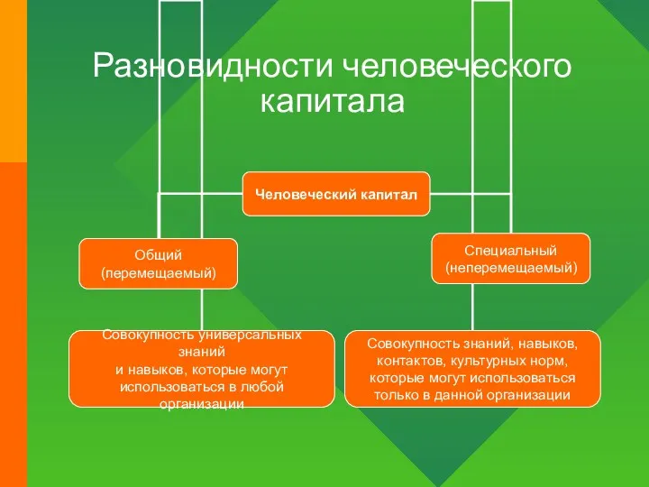 Разновидности человеческого капитала