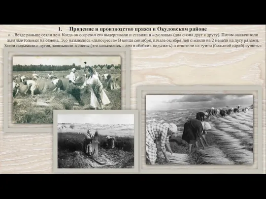 Прядение и производство пряжи в Окуловском районе «…Везде раньше сеяли лен. Когда он