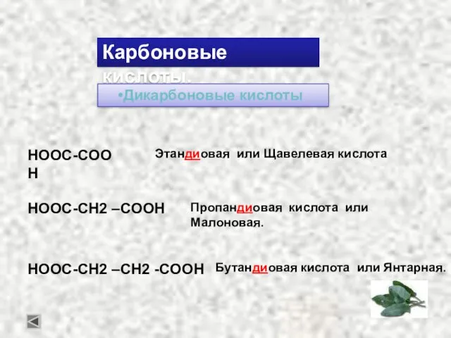 Карбоновые кислоты. Дикарбоновые кислоты Этандиовая или Щавелевая кислота Пропандиовая кислота или Малоновая. Бутандиовая кислота или Янтарная.